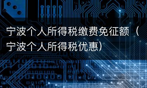 宁波个人所得税缴费免征额（宁波个人所得税优惠）