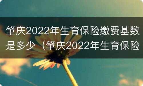 肇庆2022年生育保险缴费基数是多少（肇庆2022年生育保险缴费基数是多少呢）