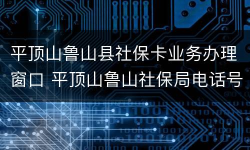 平顶山鲁山县社保卡业务办理窗口 平顶山鲁山社保局电话号码