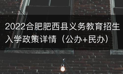2022合肥肥西县义务教育招生入学政策详情（公办+民办）