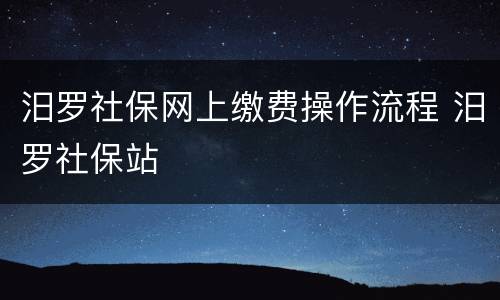 汨罗社保网上缴费操作流程 汨罗社保站
