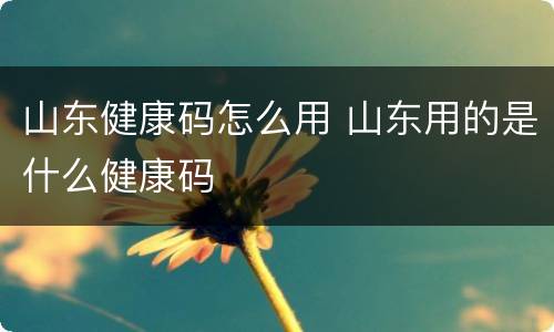 山东健康码怎么用 山东用的是什么健康码