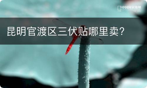 昆明官渡区三伏贴哪里卖?