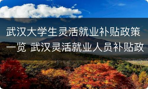 武汉大学生灵活就业补贴政策一览 武汉灵活就业人员补贴政策