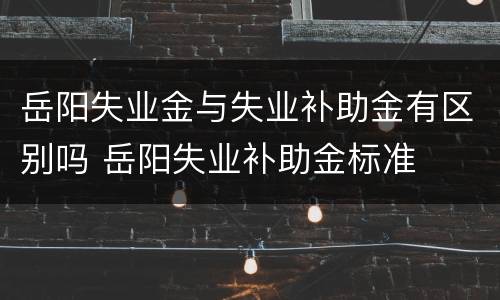 岳阳失业金与失业补助金有区别吗 岳阳失业补助金标准