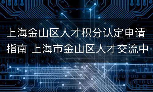 上海金山区人才积分认定申请指南 上海市金山区人才交流中心