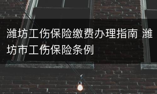 潍坊工伤保险缴费办理指南 潍坊市工伤保险条例