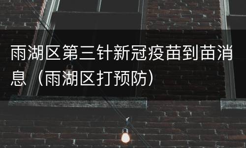 雨湖区第三针新冠疫苗到苗消息（雨湖区打预防）
