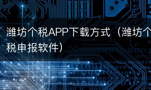 潍坊个税APP下载方式（潍坊个税申报软件）