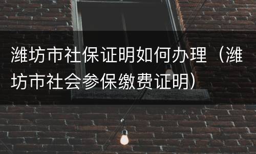 潍坊市社保证明如何办理（潍坊市社会参保缴费证明）