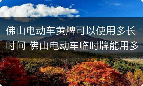 佛山电动车黄牌可以使用多长时间 佛山电动车临时牌能用多久
