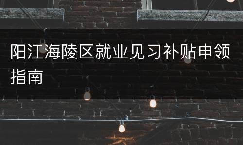 阳江海陵区就业见习补贴申领指南
