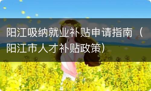 阳江吸纳就业补贴申请指南（阳江市人才补贴政策）