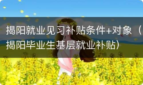 揭阳就业见习补贴条件+对象（揭阳毕业生基层就业补贴）