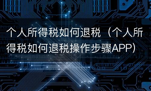 个人所得税如何退税（个人所得税如何退税操作步骤APP）