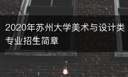 2020年苏州大学美术与设计类专业招生简章