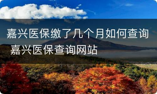 嘉兴医保缴了几个月如何查询 嘉兴医保查询网站