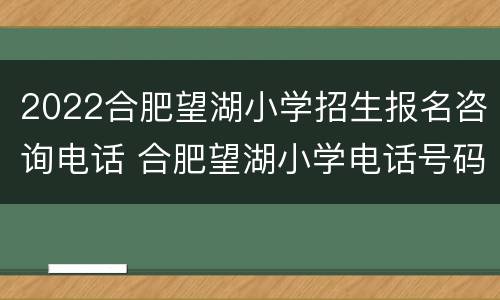 2022合肥望湖小学招生报名咨询电话 合肥望湖小学电话号码