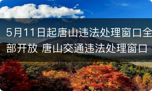 5月11日起唐山违法处理窗口全部开放 唐山交通违法处理窗口