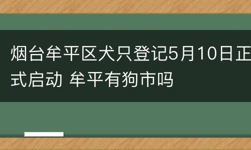 烟台牟平区犬只登记5月10日正式启动 牟平有狗市吗