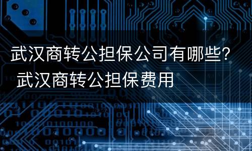 武汉商转公担保公司有哪些？ 武汉商转公担保费用