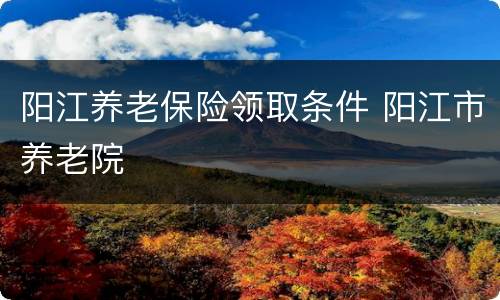 阳江养老保险领取条件 阳江市养老院