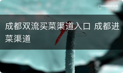 成都双流买菜渠道入口 成都进菜渠道