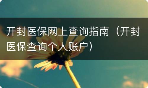 开封医保网上查询指南（开封医保查询个人账户）