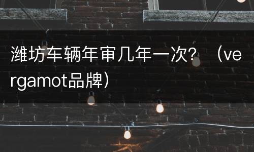 潍坊车辆年审几年一次？（vergamot品牌）