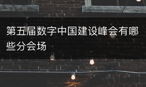 第五届数字中国建设峰会有哪些分会场
