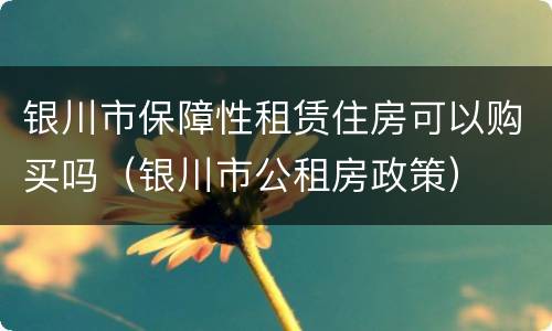 银川市保障性租赁住房可以购买吗（银川市公租房政策）