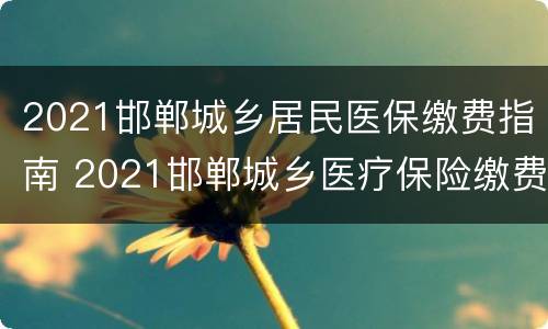 2021邯郸城乡居民医保缴费指南 2021邯郸城乡医疗保险缴费