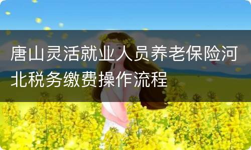 唐山灵活就业人员养老保险河北税务缴费操作流程