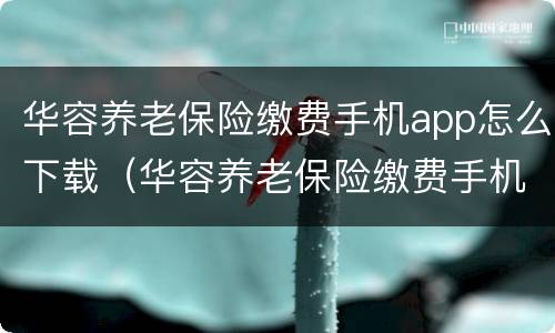 华容养老保险缴费手机app怎么下载（华容养老保险缴费手机app怎么下载安装）