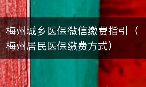 梅州城乡医保微信缴费指引（梅州居民医保缴费方式）