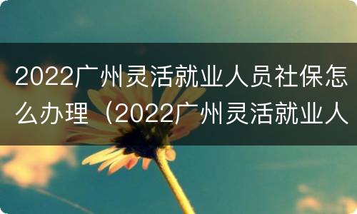 2022广州灵活就业人员社保怎么办理（2022广州灵活就业人员社保怎么办理手续）