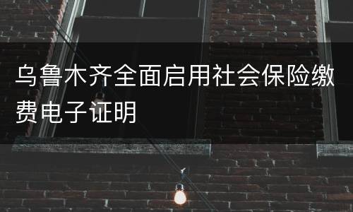 乌鲁木齐全面启用社会保险缴费电子证明