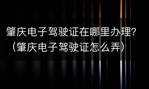 肇庆电子驾驶证在哪里办理？（肇庆电子驾驶证怎么弄）