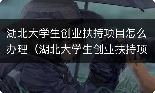 湖北大学生创业扶持项目怎么办理（湖北大学生创业扶持项目怎么办理助学贷款）
