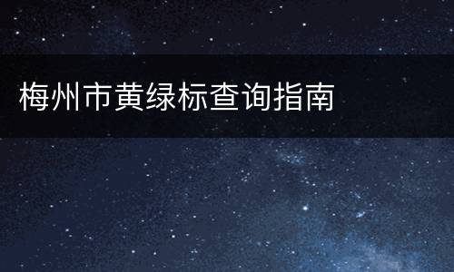 梅州市黄绿标查询指南