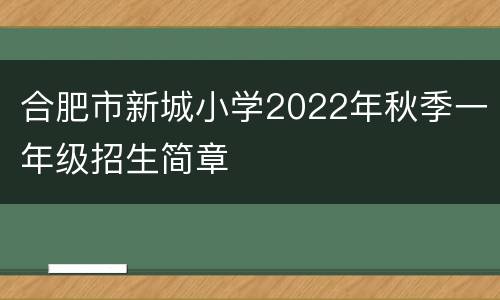 合肥市新城小学2022年秋季一年级招生简章