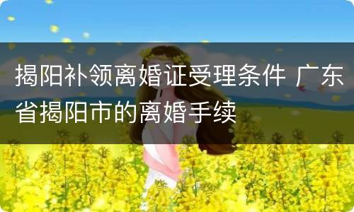 揭阳补领离婚证受理条件 广东省揭阳市的离婚手续