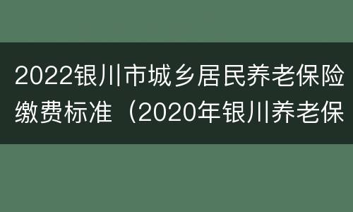2022银川市城乡居民养老保险缴费标准（2020年银川养老保险缴费标准）