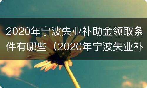 2020年宁波失业补助金领取条件有哪些（2020年宁波失业补助金领取条件有哪些要求）