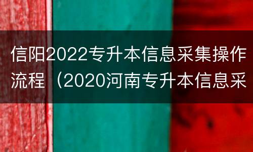 信阳2022专升本信息采集操作流程（2020河南专升本信息采集）