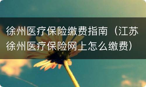 徐州医疗保险缴费指南（江苏徐州医疗保险网上怎么缴费）