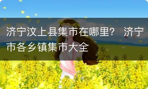 济宁汶上县集市在哪里？ 济宁市各乡镇集市大全