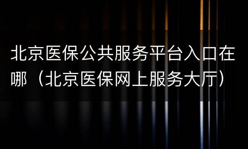 北京医保公共服务平台入口在哪（北京医保网上服务大厅）