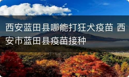 西安蓝田县哪能打狂犬疫苗 西安市蓝田县疫苗接种