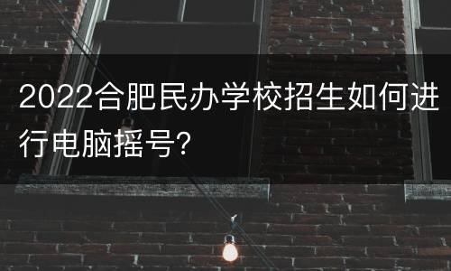 2022合肥民办学校招生如何进行电脑摇号？